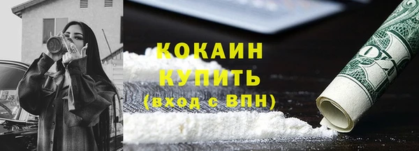 спайс Богданович