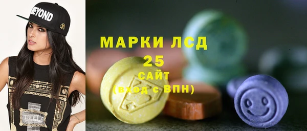 спайс Богданович