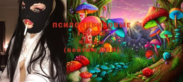 спайс Богданович