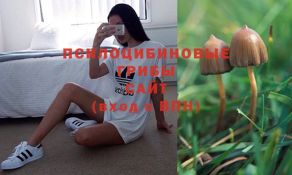 спайс Богданович